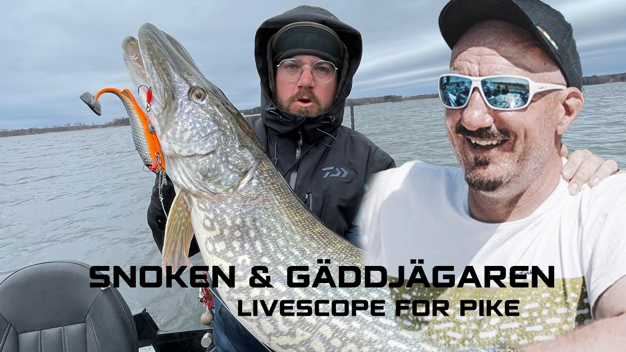 ‌Snoken & Gäddjägaren - Livescoping for Pike and Zander!