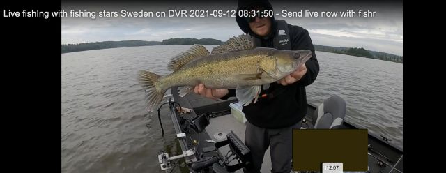 Live fishIng with fishing stars Sweden on DVR 2021-09-12 08:31:50