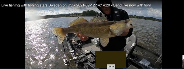 Live fishIng with fishing stars Sweden on DVR 2021-09-12 14:14:20