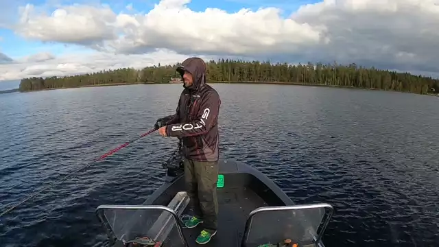 Live fishing with Micke Fransson 