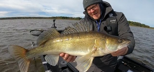 Live fishIng with fishing stars Sweden 