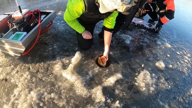 Ice fishing testing new Barefoot Ice Buggy 