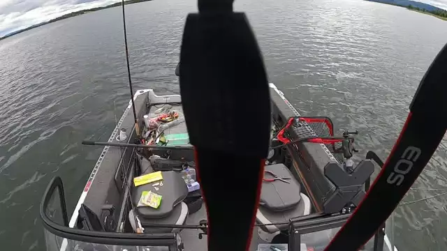 Gäddfiske i Norrland 