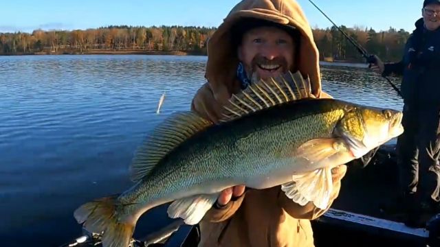 Live fishing with Barefoot. /Private '' Catch highlight '' 2022-10-30 09:28:09