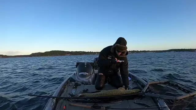 Vinterfiske på Vänern! '' Catch highlight '' 2022-12-18 14:14:10