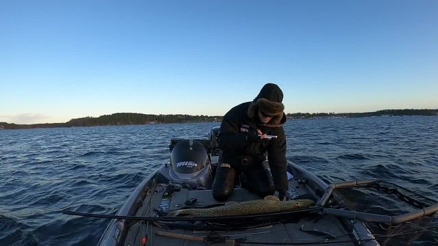 Vinterfiske på Vänern! '' Catch highlight '' 2022-12-18 14:14:10