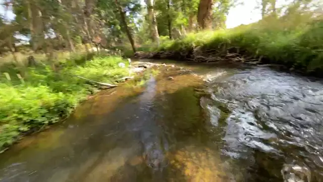 Ausie creek restoration'' No 3 '' 2023-01-21 10:50:34