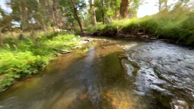 Ausie creek restoration'' No 3 '' 2023-01-21 10:50:34