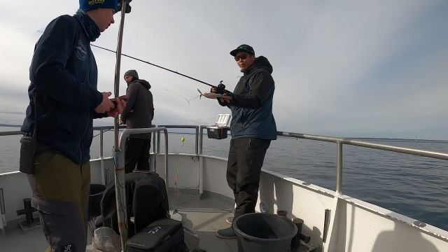Short fishing trip in the cold weather! '' Catch highlight '' 2023-03-12 13:31:47