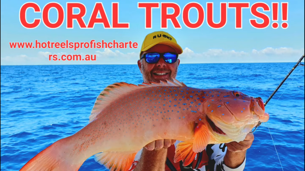 Bangn ''Coral Trouts'' with #hrpfc in Hervey Bay. @www.hotreelsprof