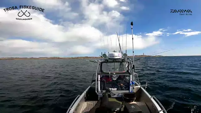 Salmon premiere at Landsort with Gäddjägaren (Team Daiwa) and Echo Marine!  - 2023-05-04 14:17:02