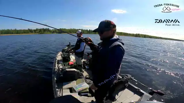 Triplet hit in shallow Pike lake - Gäddjägaren & David