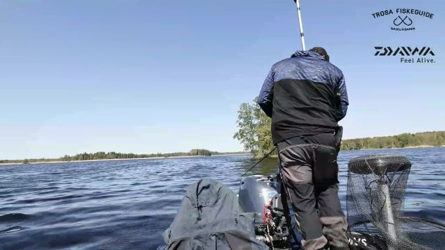 Pike fishing in shallow lake after BIG pike with Gaddjagaren (Team Daiwa Prostaff)  - 2023-05-21 11:49:28