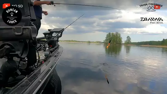 Pike fishing with Duncan Lures and Gäddjägaren (Daiwa Prostaff)  - 2023-05-22 11:17:00