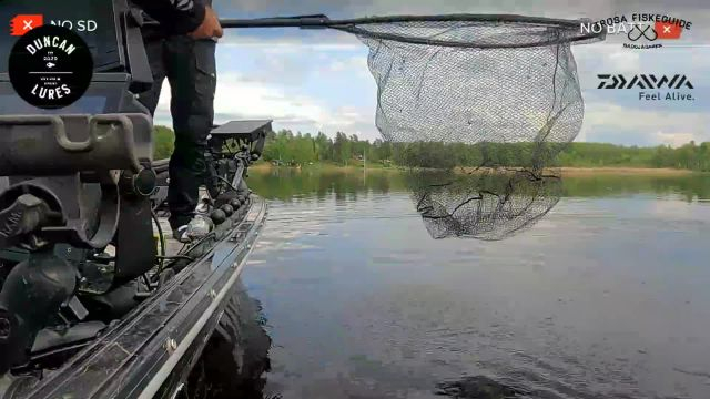 Pike fishing with Duncan Lures and Gäddjägaren (Daiwa Prostaff)  - 2023-05-22 13:59:40