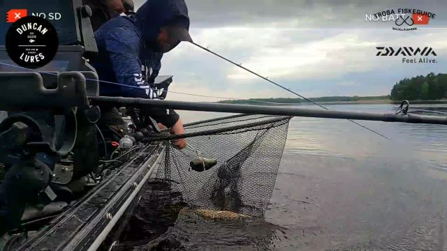 Pike fishing with Duncan Lures and Gäddjägaren (Daiwa Prostaff)  - 2023-05-22 15:16:29
