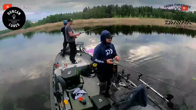 Pike fishing with Duncan Lures and Gäddjägaren (Daiwa Prostaff)  - 2023-05-22 16:03:12