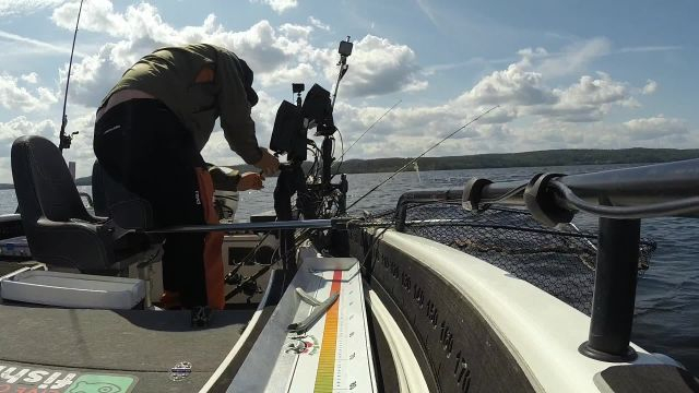 Utmanar Fishingstars_Sweden igen 😬 - 2023-07-29 11:20:03