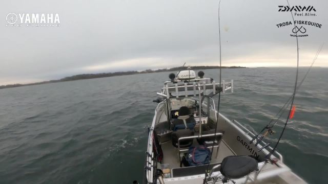 Följ med Gäddjägaren i Skärgården från Trosa till Echo Marine (Värmdö), några fiskestopp på vägen! - 2023-11-21 11:00:09
