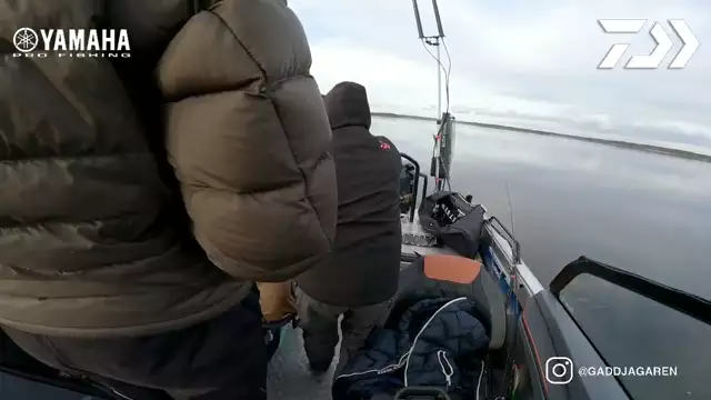 Big Pike on deep waters with Garmin Livescope! - 2024-03-30 16:15:06