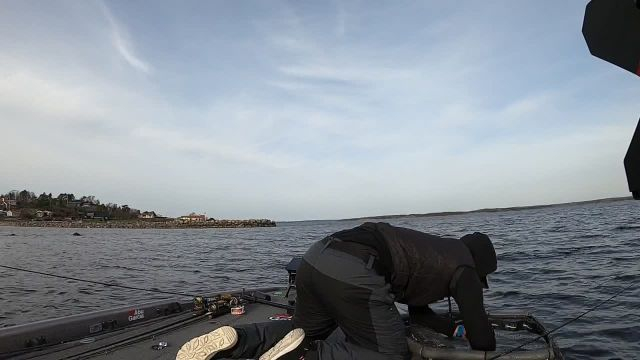 Havsöringspremiär i Göteborg! - 2024-04-01 14:52:51
