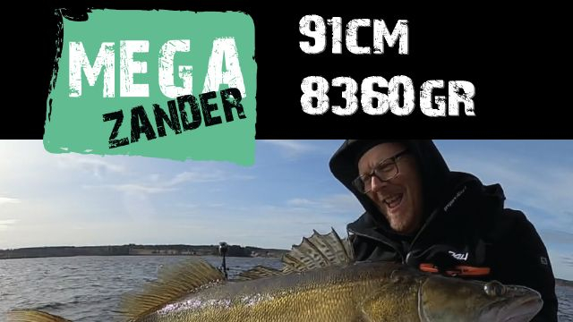 Mega Zander by Fishingstars_Sweden