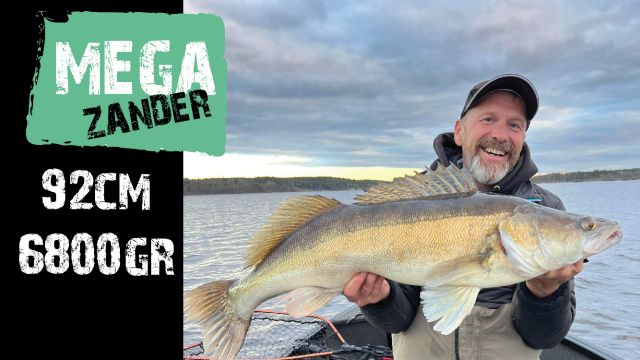 Mega Zander by Barefoot Fisherman!
