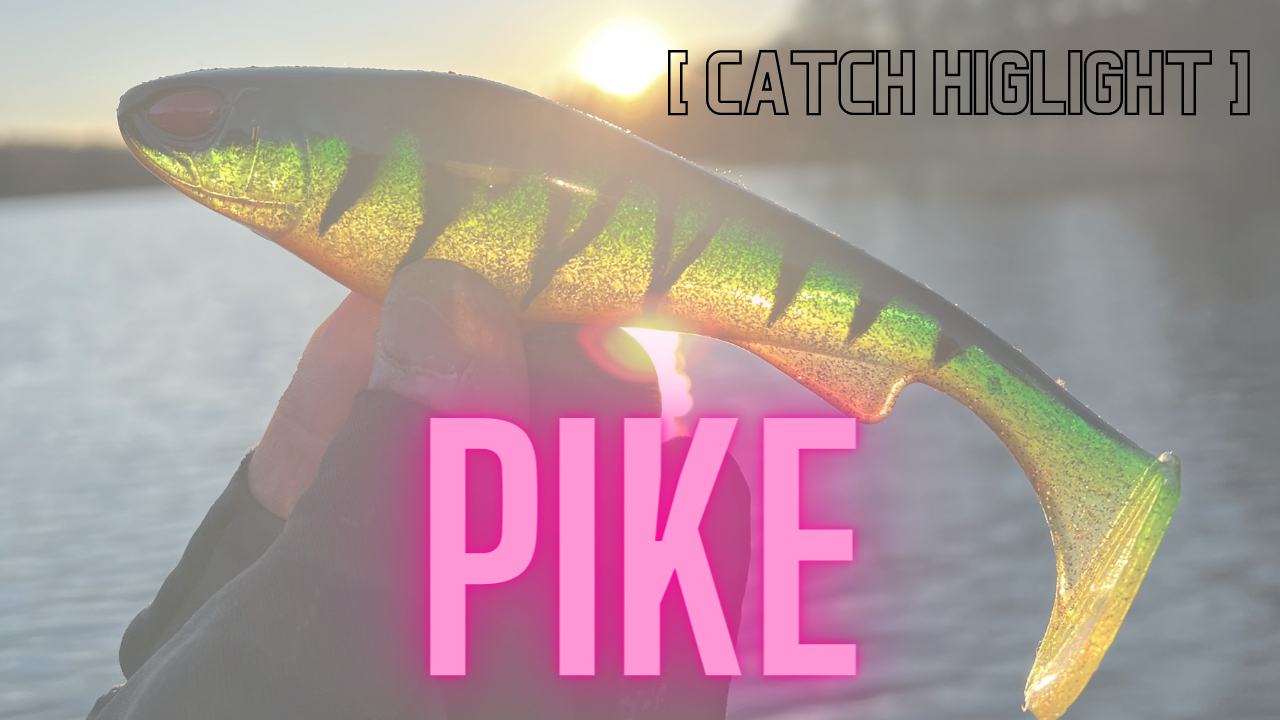 Pike - Catch Highlight!