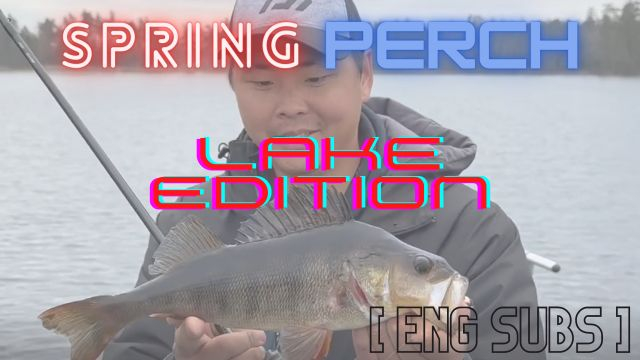 Lake perch fishing in spring! [ENG SUBS]